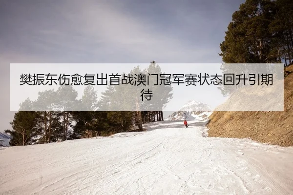 樊振东伤愈复出首战澳门冠军赛状态回升引期待